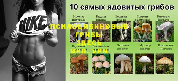 Альфа ПВП Яранск