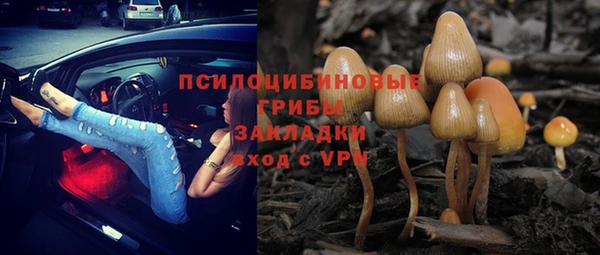 мескалин Инта