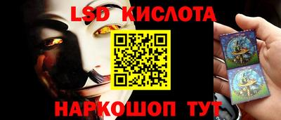 крисы Гусев