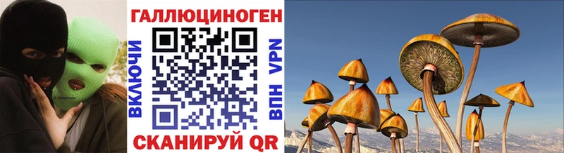 дарк нет какой сайт купить Калач-на-Дону Псилоцибиновые грибы ЛСД